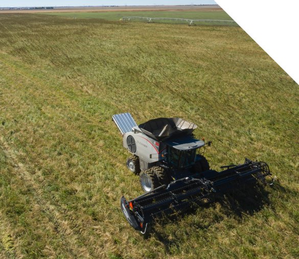 Combine harvesting industrial hemp